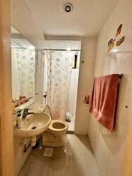 The Tanamera (D16), Condominium #498218311